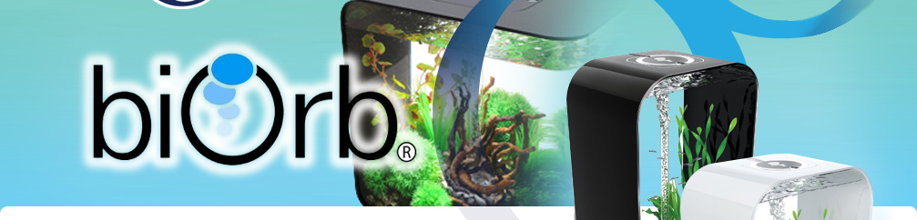 biorb aquariums