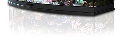 coral-tank