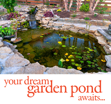 dream-pond