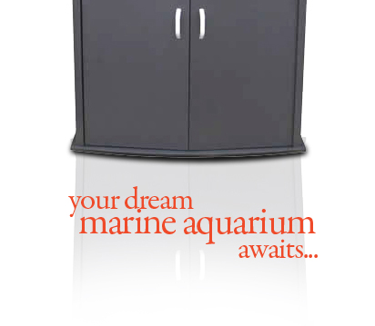 marine-tank